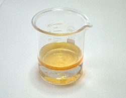 水に浮かべた10gの廃天ぷら油